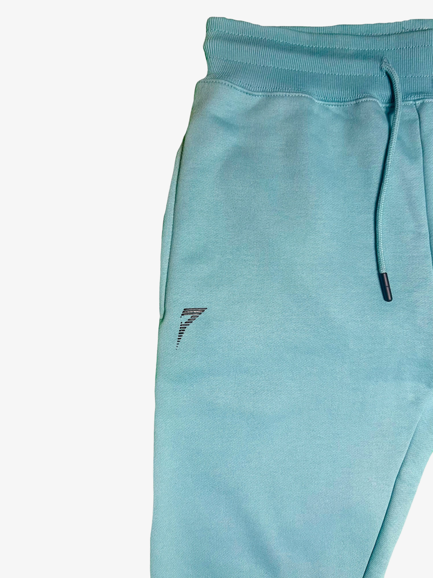 Force Joggers - Sky Blue